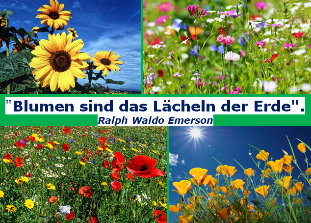 Blumen sind das Lächeln der Erde.PNG